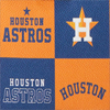 Dooney & Bourke MLB Astros Shopper