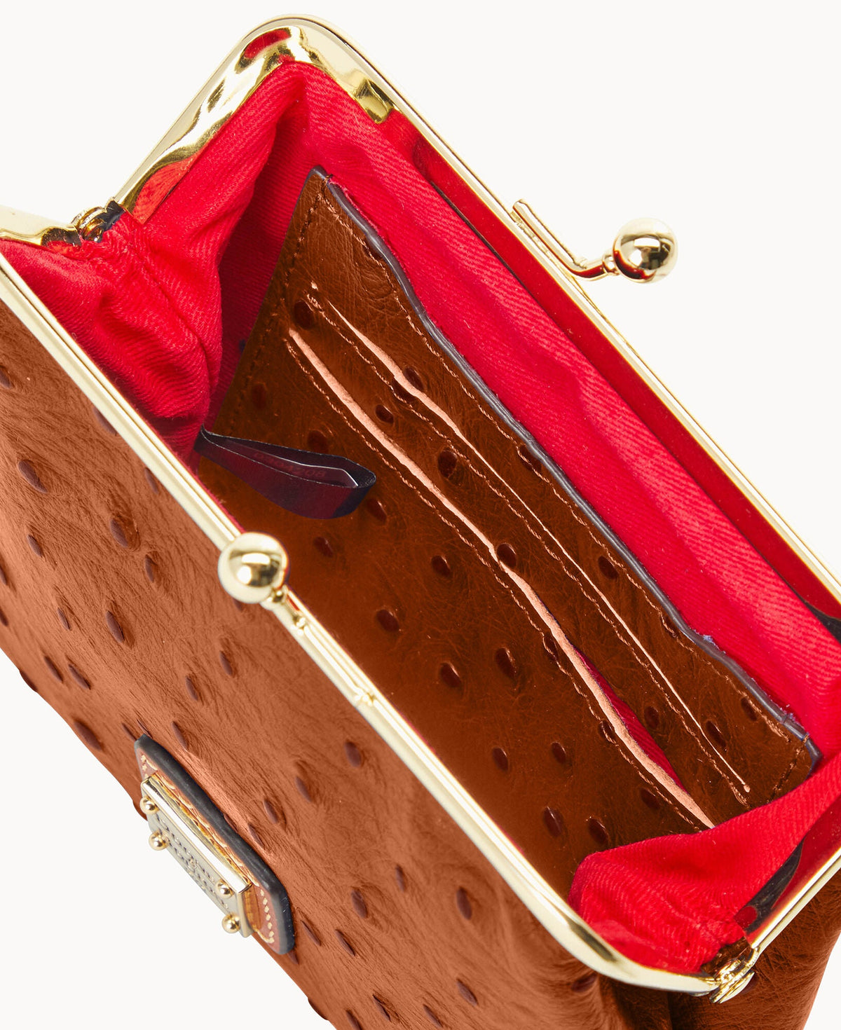 Dooney & Bourke Ostrich Large Framed Purse