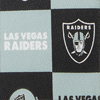 Dooney & Bourke NFL Raiders Top Zip Crossbody