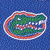 Dooney & Bourke Collegiate University of Florida Hobo 28
