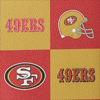 Dooney & Bourke NFL 49ERS Small Zip Crossbody
