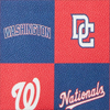Dooney & Bourke MLB Nationals Stadium Wristlet